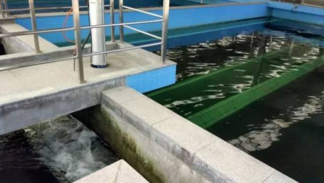 水厂滤池滤料，关键角色与选择标准