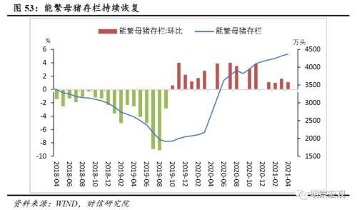 报纸纸张价格，市场趋势、影响因素及未来展望