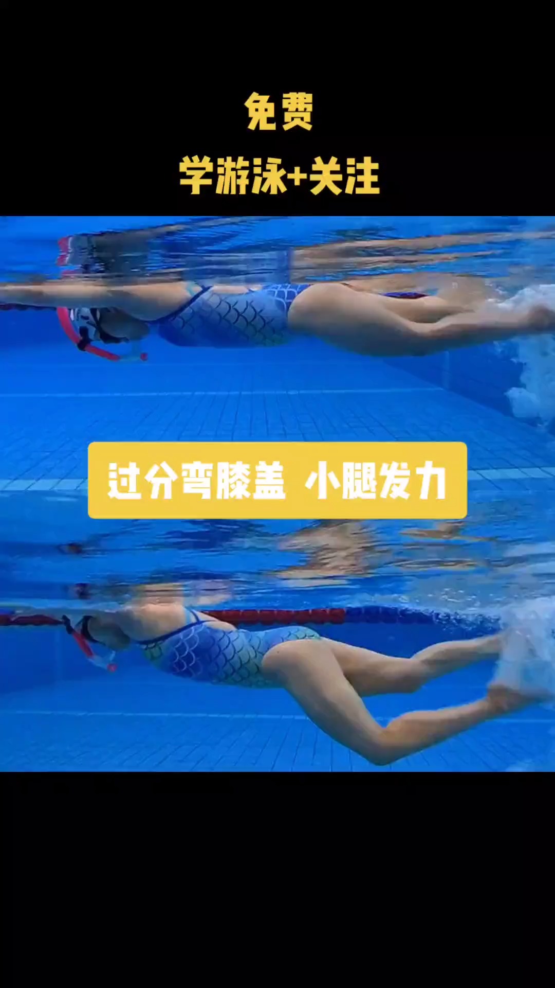 自由泳中的大腿带动小腿技巧