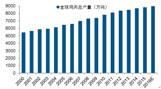 祖代蛋鸡数量，对现代养鸡业的影响与考量