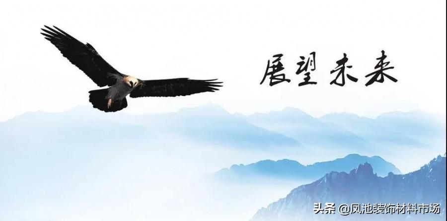 采访环境局，探寻环境保护的坚实步伐与未来展望