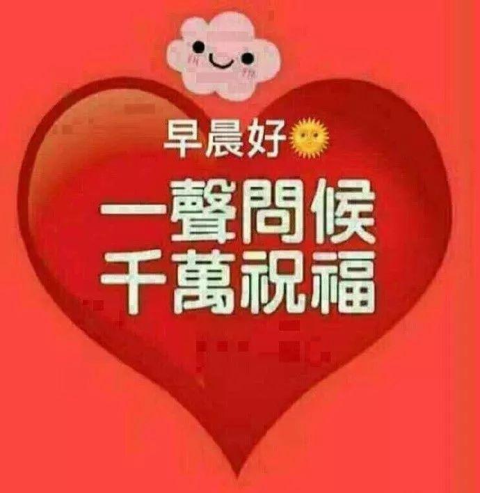 冬季不落叶的花有，那些盛开在寒冷季节的绚丽生命