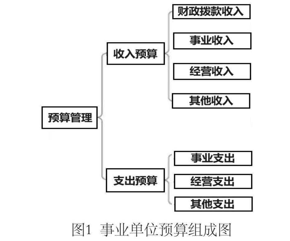 事业单位经营收入的重要性及其管理策略