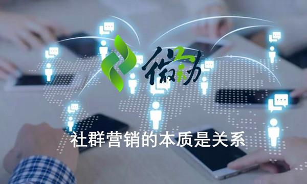 双赢销售，构建互惠互利的商业新模式