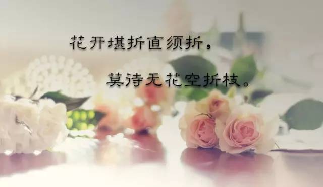 缘分免费找对象，探寻真挚情感与幸福人生的起点