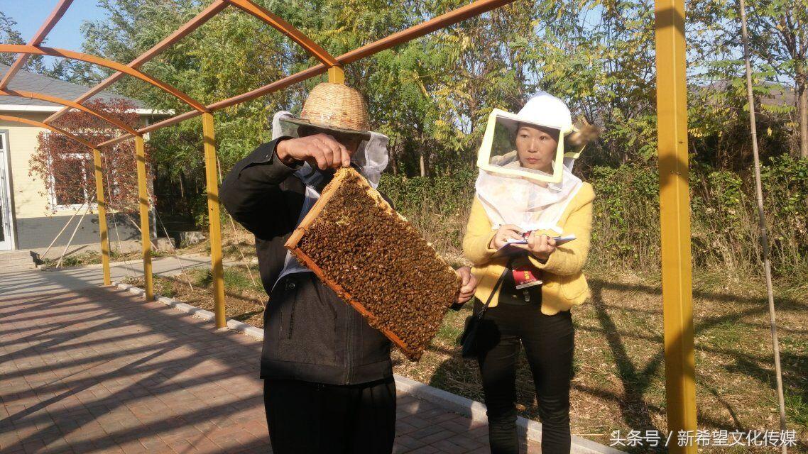 高窄蜂箱最佳尺寸的研究与探讨