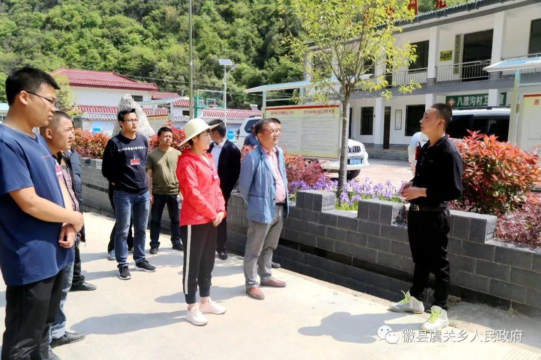 中蜂最佳养殖环境研究