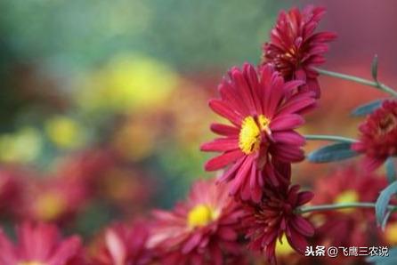 生日聚会 第134页