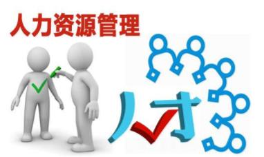 人力资源管理在企业发展中的关键作用