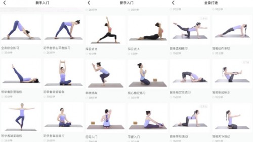 每日瑜伽app，重塑身心健康的数字化瑜伽之旅