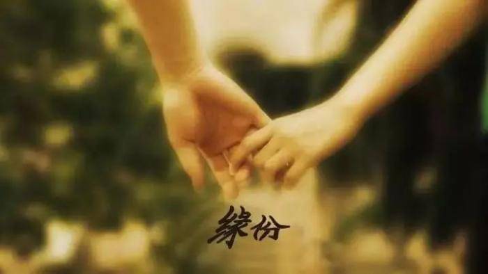 寻找有缘分的人，生命中的邂逅与奇迹