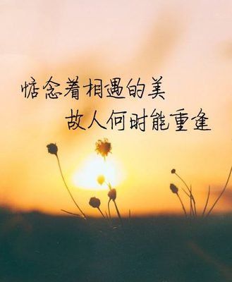 缘分来敲门，生命中的不期而遇