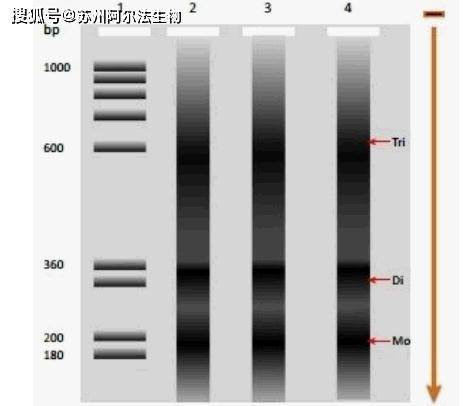 产品发布 第128页