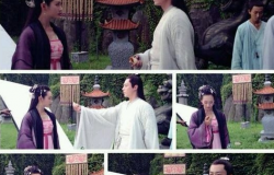 白子是什么东西