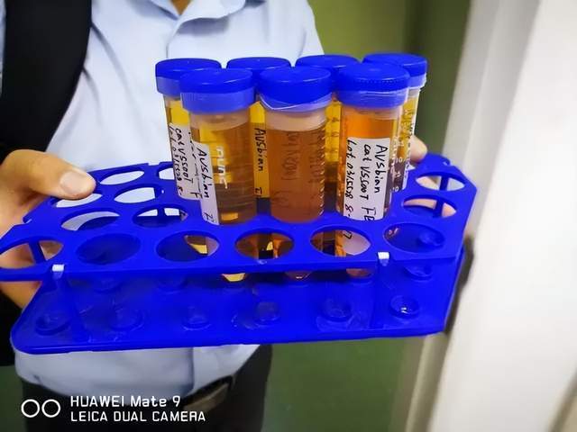 血清方瓶，守护健康的关键所在