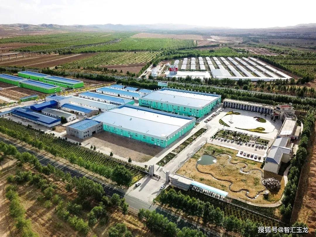 延大牧业有限公司，引领畜牧业发展的先锋力量
