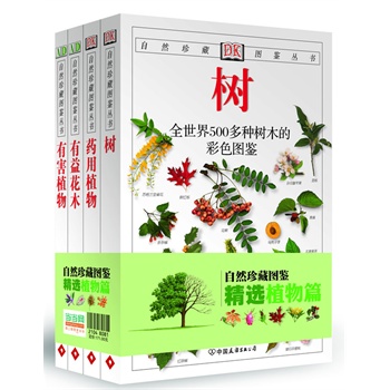 广西岩黄莲，自然之宝，药用之珍