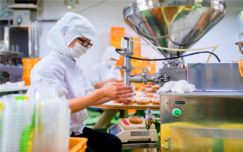 农村开设加工厂的优选策略，探寻最佳加工项目