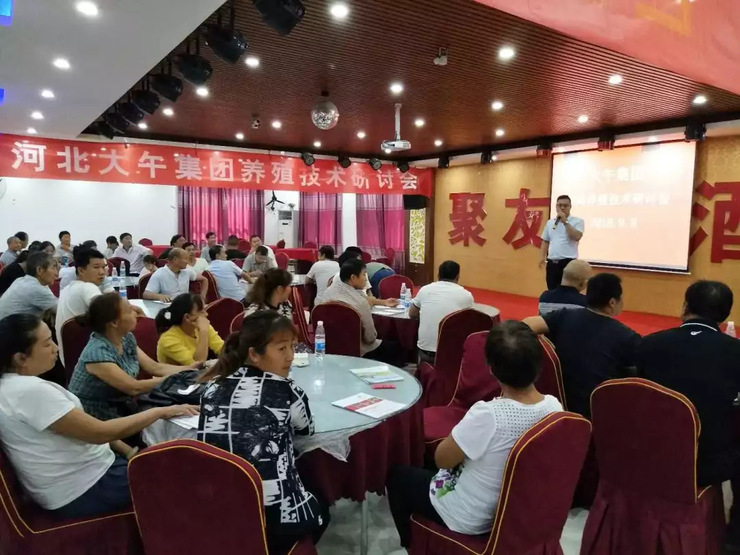 大午集团简介