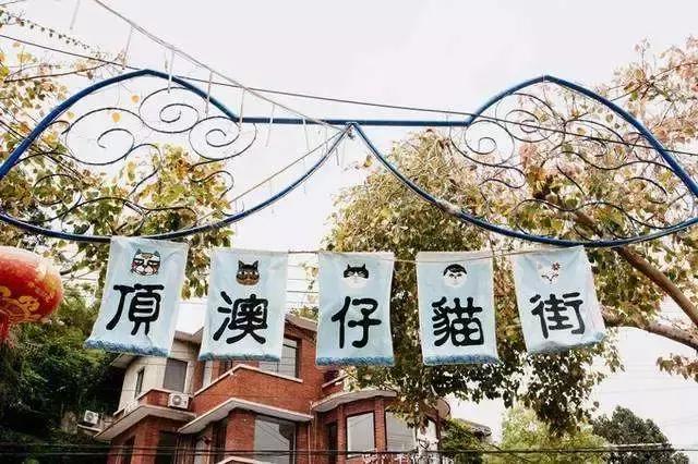 猫雕塑，艺术中的优雅与灵动