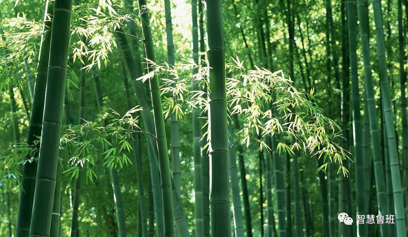 生日聚会 第91页