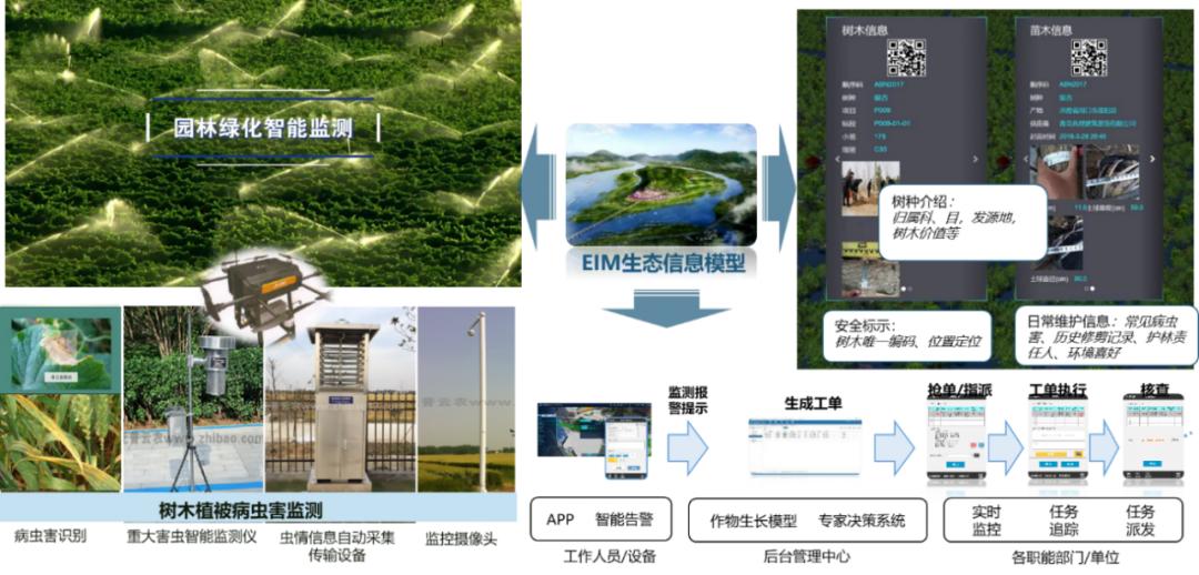 测绘前沿技术与生态监测，构建绿色生态的未来视角