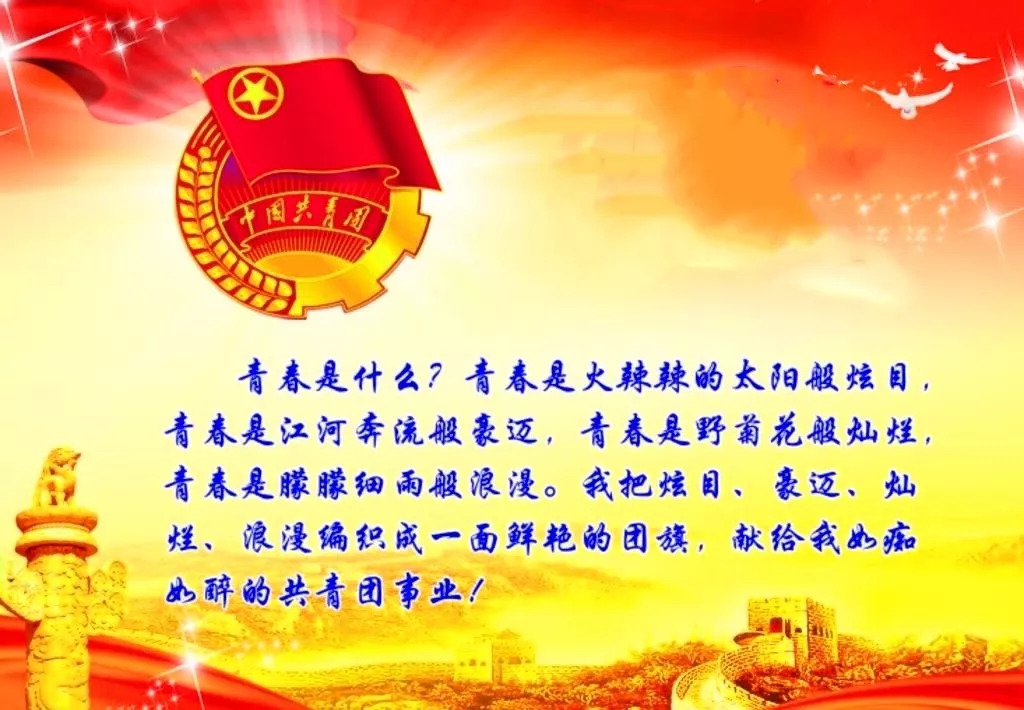 团日活动简历，塑造青年人才的熔炉