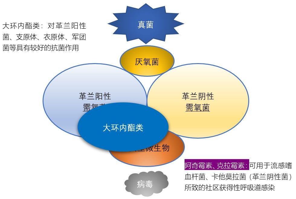 admin 第306页