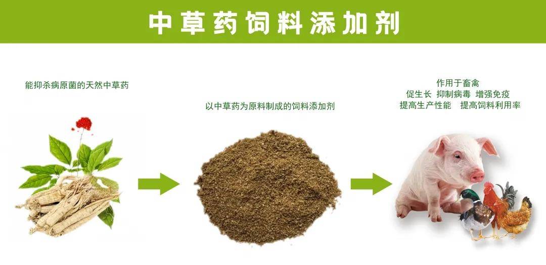 中药饲料添加剂的种类及其在畜牧业中的应用