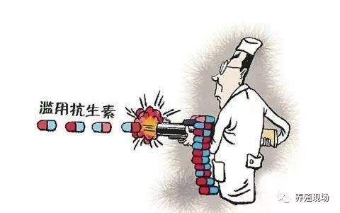 球虫的种类及其特点