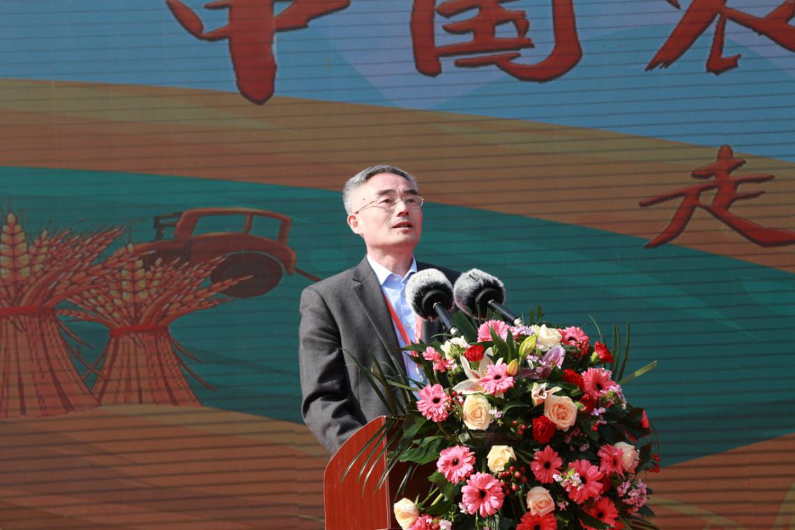 安徽淮南地区水稻种类研究