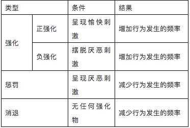 雨刮片，功能、种类与选择的重要性