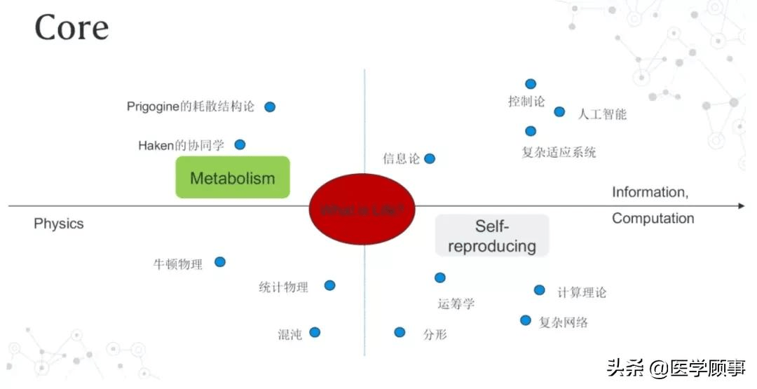 多因素模型，解析复杂系统的关键工具