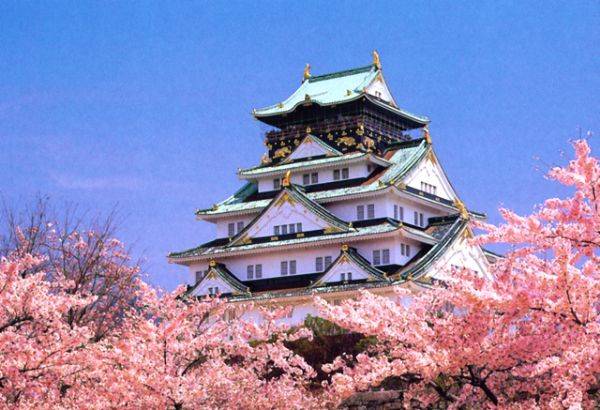 日本建筑英语，探索日本建筑的语言与魅力