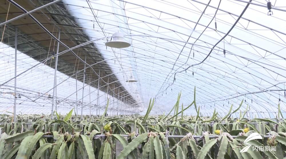 聊城保温一体化图集，深度解析与应用前景