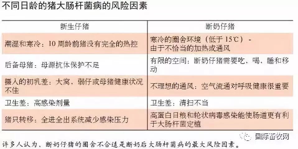 大肠杆菌疫苗的种类及其特点