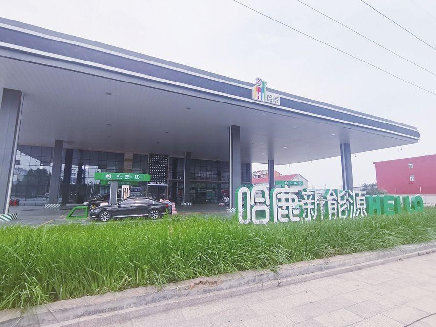 国际纸张网，连接全球，共创纸业新时代
