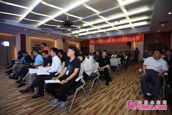 鸡的品种与种类，深入了解家禽世界中的多样性