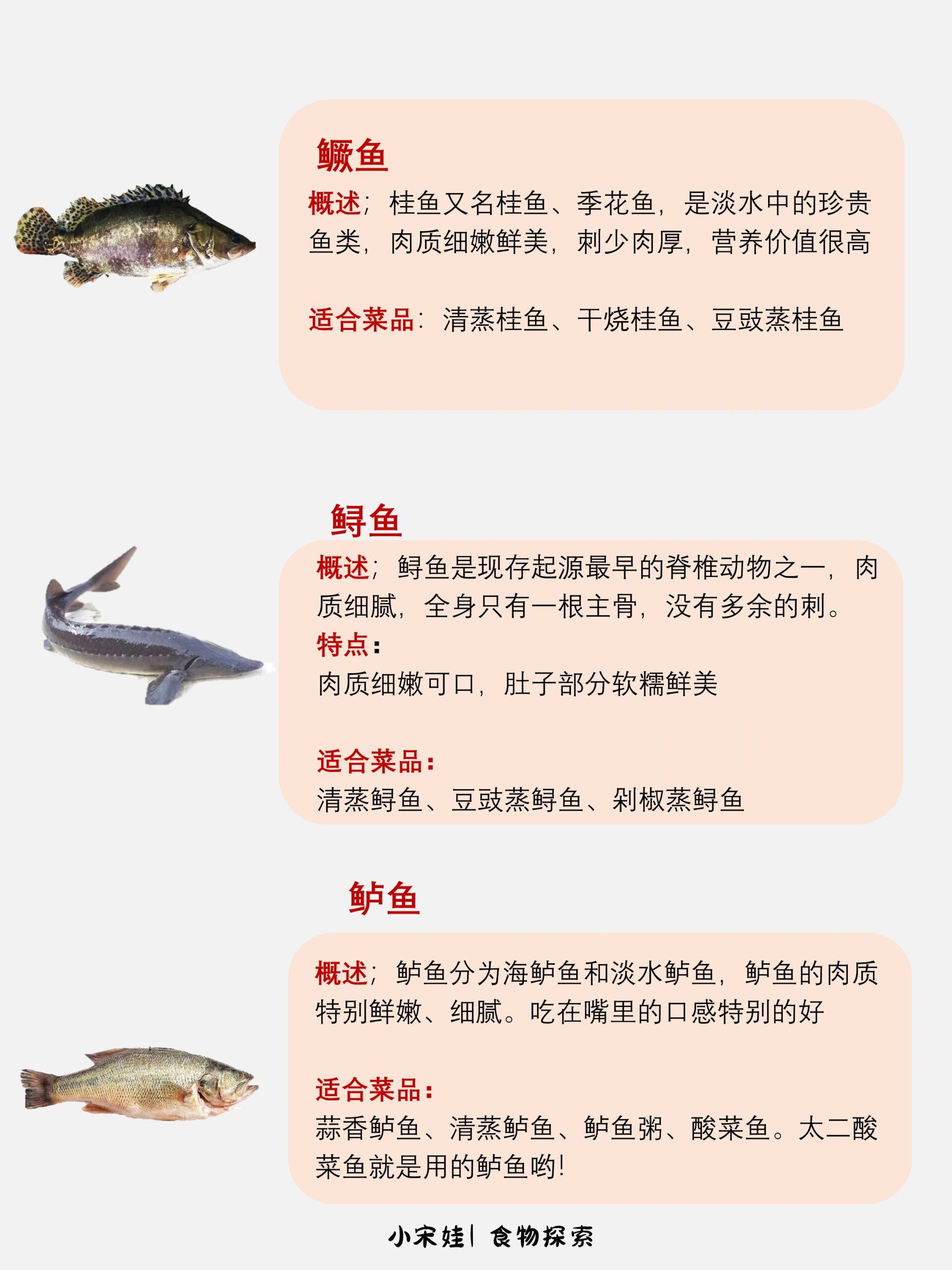 我国主养的淡水鱼种类及其特点