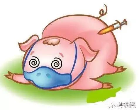 猪的疫苗种类及其重要性
