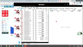 Suntour前叉等级，深度解析其性能与特点