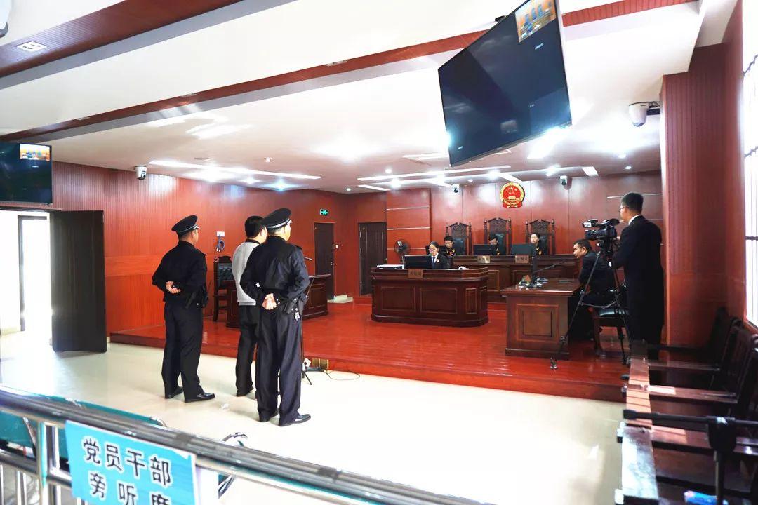 挪用公款，单位利益与个人行为的边界探讨