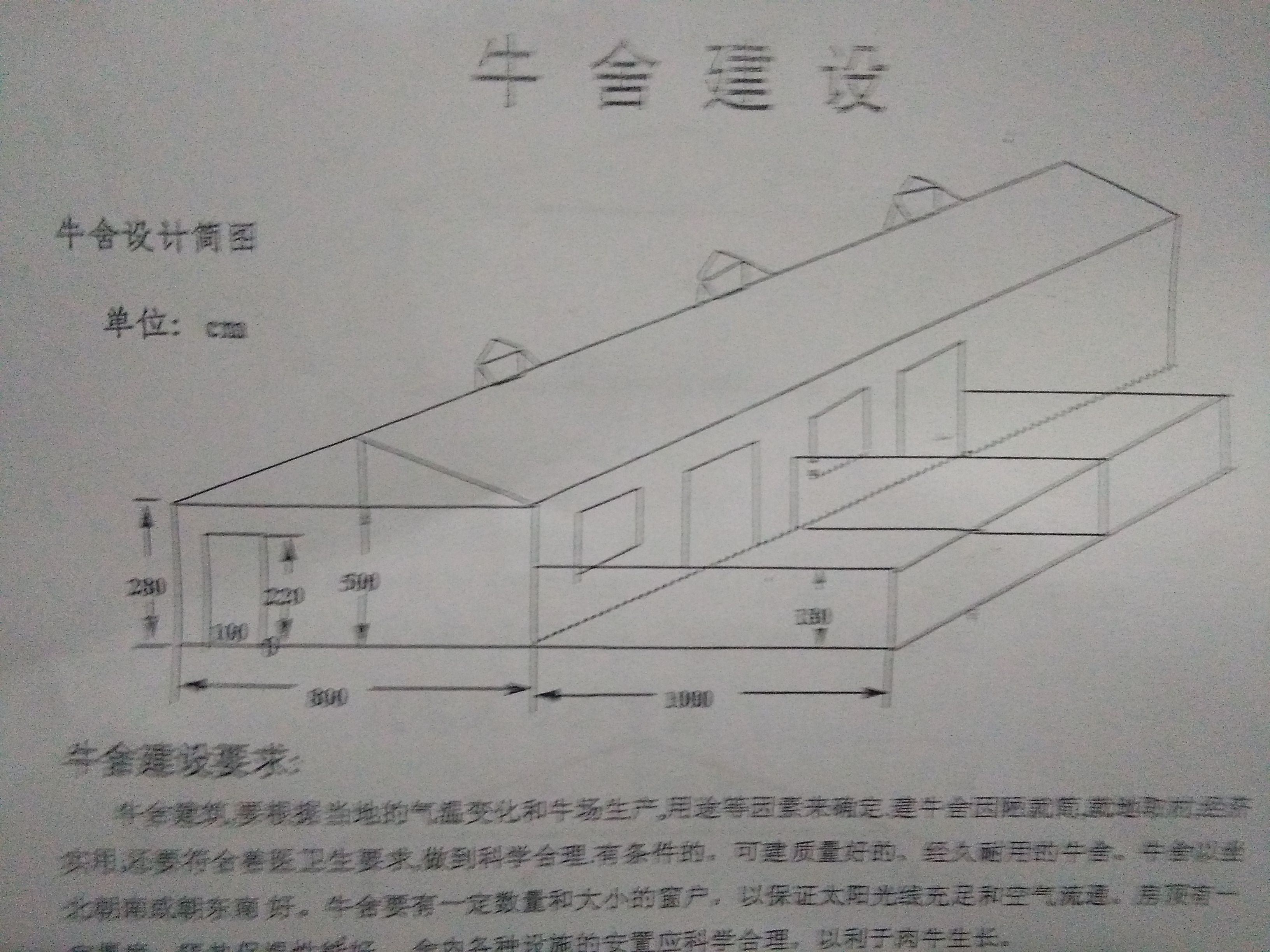简述牛舍建筑种类及特征