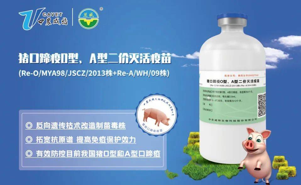 口蹄疫种类疫苗，理解其多样性与重要性