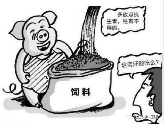 饲料中禁用抗生素种类及其影响