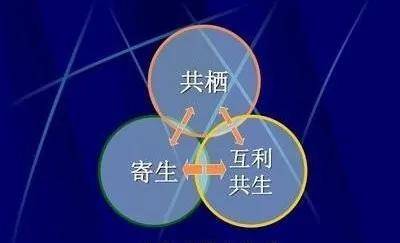 工作与利益的存在，一种共生关系