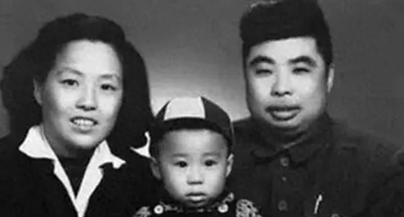 副师级待遇详解，地位、职责与待遇分析