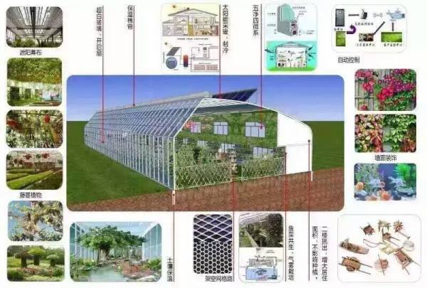 冬季养虾大棚搭建技术