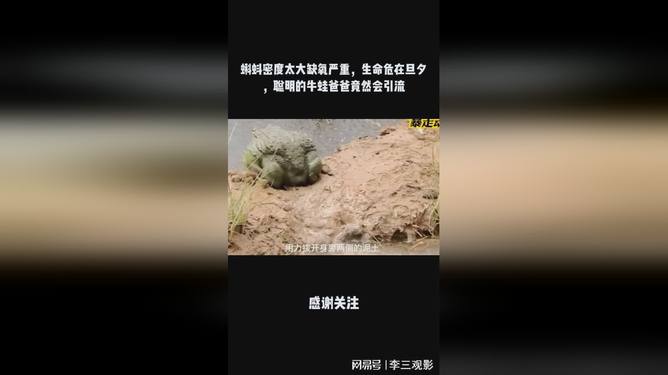 开局蝌蚪，从微小启程，探寻巨大的生命力量