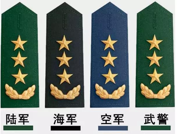 上将军衔待遇，荣誉与责任的体现